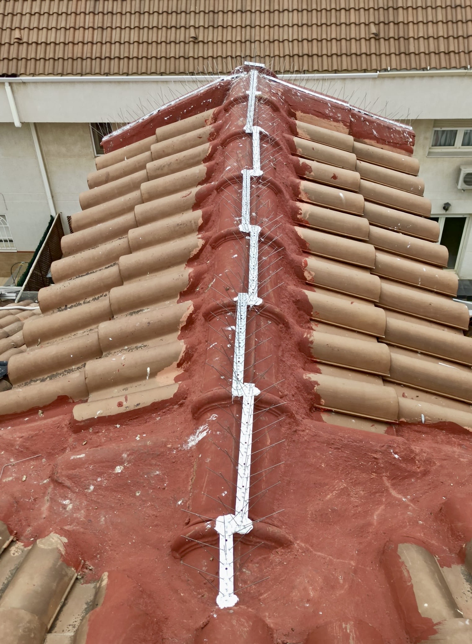 PINCHOS ANTIPAJAROS EN CABALLETES